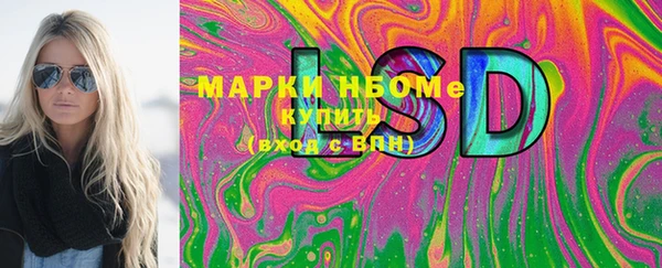 apvp Алзамай