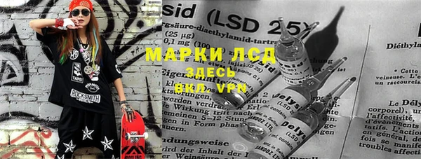 apvp Алзамай
