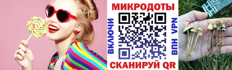 Галлюциногенные грибы Magic Shrooms  Курчалой 